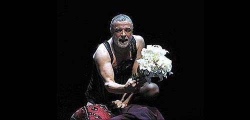 Il don Chisciotte di Branciaroli