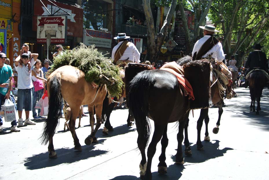 fiesta de la vendimia 2014