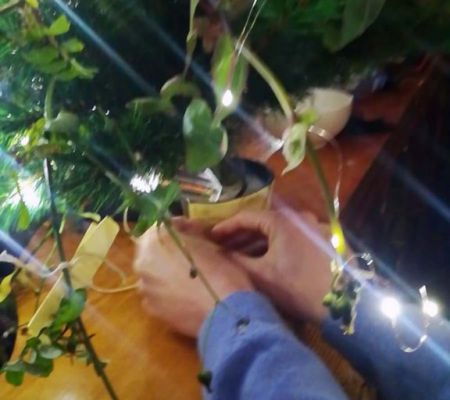 albero-desideri-2023-mario-alvarez-18