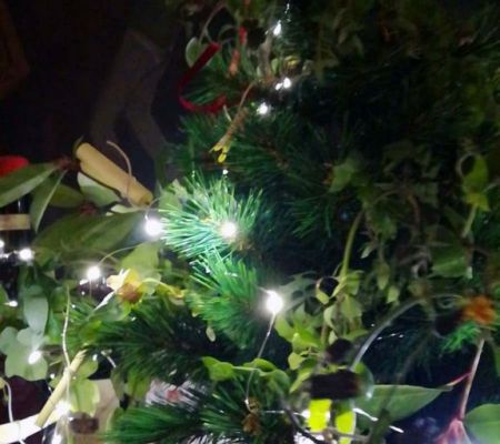 albero-desideri-2023-mario-alvarez-43