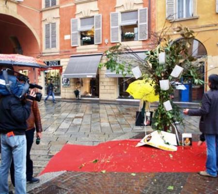 albero-desideri-2011-mario-alvarez-09