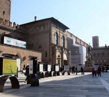 albero-desideri-2011-mario-alvarez-01